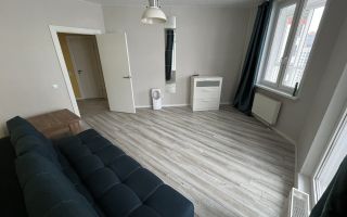 однокомнатная квартира в Санкт-Петербурге по адресу: Кушелевская дорога., 6, к 1