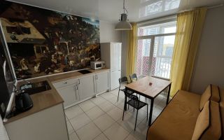 однокомнатная квартира в Санкт-Петербурге по адресу: Кушелевская дорога., 6, к 1