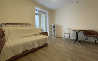 однокомнатная квартира в Санкт-Петербурге по адресу: Уездный проспект, 11, строение 1