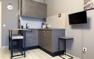 студия в Ленинградской области по адресу: Ручьевский проспект, 9