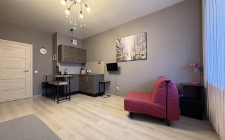 студия в Ленинградской области по адресу: Ручьевский проспект, 9