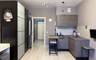 студия в Ленинградской области по адресу: Ручьевский проспект, 9