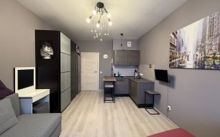 студия в Ленинградской области по адресу: Ручьевский проспект, 9