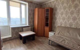 однокомнатная квартира в Санкт-Петербурге по адресу: Энгельса проспект, 132, к 1