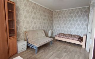 однокомнатная квартира в Санкт-Петербурге по адресу: Энгельса проспект, 132, к 1