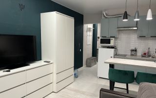 студия в Ленинградской области по адресу: Шоссе в Лаврики ул., 95