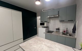 студия в Ленинградской области по адресу: Шоссе в Лаврики ул., 95