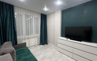 студия в Ленинградской области по адресу: Шоссе в Лаврики ул., 95