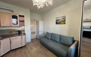 студия в Ленинградской области по адресу: Графская ул., 8