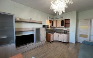 студия в Ленинградской области по адресу: Графская ул., 8