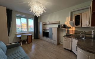 студия в Ленинградской области по адресу: Графская ул., 8