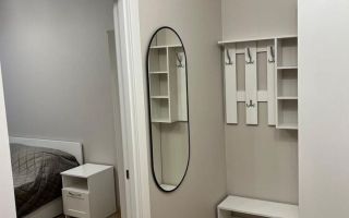 однокомнатная квартира в Санкт-Петербурге по адресу: Днепропетровская ул., 7