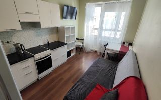 однокомнатная квартира в Ленинградской области по адресу: Привокзальная пл., 3, к 3