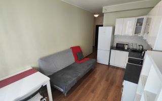 однокомнатная квартира в Ленинградской области по адресу: Привокзальная пл., 3, к 3