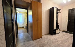 однокомнатная квартира в Ленинградской области по адресу: Василеозерская ул., 8/6