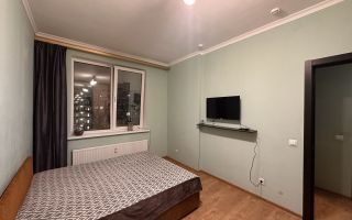 однокомнатная квартира в Ленинградской области по адресу: Пражская ул., 4