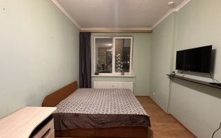 однокомнатная квартира в Ленинградской области по адресу: Пражская ул., 4