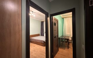 однокомнатная квартира в Ленинградской области по адресу: Пражская ул., 4