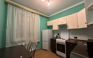 однокомнатная квартира в Ленинградской области по адресу: Пражская ул., 4