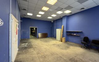 коммерция в Санкт-Петербурге по адресу: Промышленная ул., 14, литера А