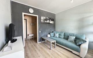 однокомнатная квартира в Санкт-Петербурге по адресу: Гжатская ул., 22, к 1