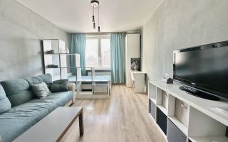 однокомнатная квартира в Санкт-Петербурге по адресу: Гжатская ул., 22, к 1