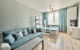 однокомнатная квартира в Санкт-Петербурге по адресу: Гжатская ул., 22, к 1