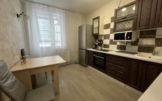 однокомнатная квартира в Ленинградской области по адресу: Шувалова ул., 48