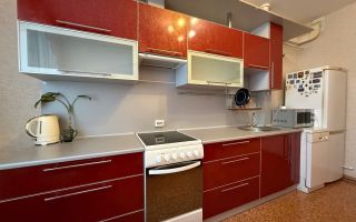 однокомнатная квартира в Санкт-Петербурге по адресу: Новолитовская ул., 4