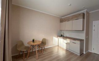 студия в Ленинградской области по адресу: Ясная ул., 20, к 6