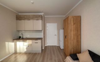 студия в Ленинградской области по адресу: Ясная ул., 20, к 6