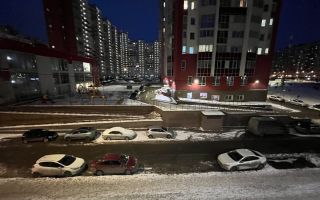 двухкомнатная квартира в Санкт-Петербурге по адресу: Ленинский проспект, 68