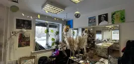 коммерция в Санкт-Петербурге по адресу: Валерия Гаврилина ул., 3, к 1