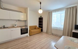 студия в Ленинградской области по адресу: Тихая ул., 1