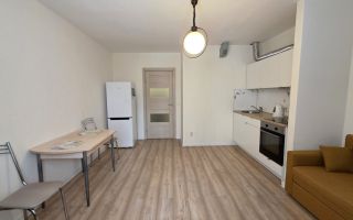 студия в Ленинградской области по адресу: Тихая ул., 1