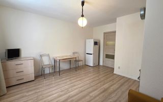 студия в Ленинградской области по адресу: Тихая ул., 1