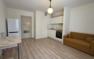 студия в Ленинградской области по адресу: Тихая ул., 1