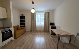 студия в Ленинградской области по адресу: Тихая ул., 1