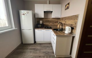 однокомнатная квартира в Санкт-Петербурге по адресу: Малая Балканская ул., 42, к 3