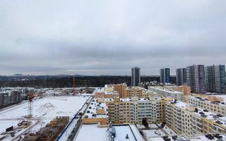 двухкомнатная квартира в Санкт-Петербурге по адресу: Суздальское ш., 22, к 3, строение 1