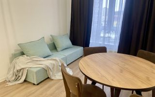 однокомнатная квартира в Ленинградской области по адресу: Невская ул., 17, к 1