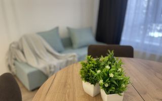 однокомнатная квартира в Ленинградской области по адресу: Невская ул., 17, к 1