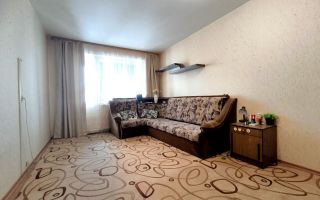 однокомнатная квартира в Ленинградской области по адресу: Верхняя ул., 11