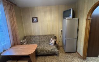 однокомнатная квартира в Санкт-Петербурге по адресу: Уточкина ул., 1, к 1