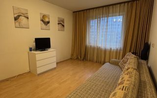 однокомнатная квартира в Санкт-Петербурге по адресу: Уточкина ул., 1, к 1