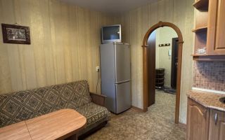 однокомнатная квартира в Санкт-Петербурге по адресу: Уточкина ул., 1, к 1