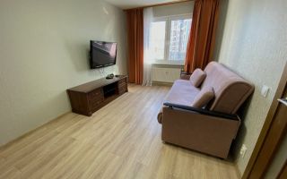 однокомнатная квартира в Санкт-Петербурге по адресу: Кушелевская дорога., 3, к 2