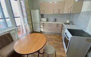 однокомнатная квартира в Санкт-Петербурге по адресу: Кушелевская дорога., 3, к 2