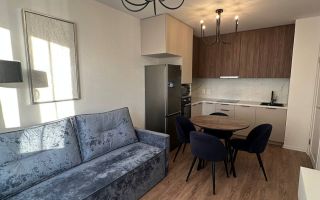 однокомнатная квартира в Санкт-Петербурге по адресу: Пахомовская ул., 10, к 3