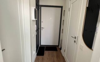 однокомнатная квартира в Санкт-Петербурге по адресу: Пахомовская ул., 10, к 3